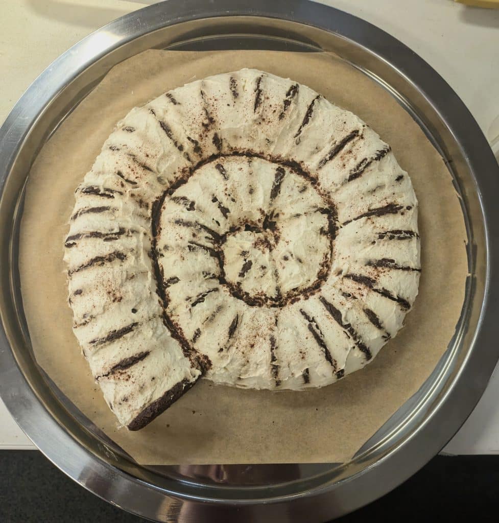 Ammonite pinwheel snail or Ammoniropa vigens in cake form