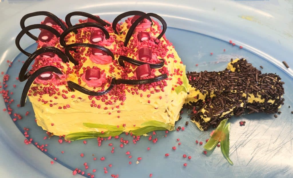 Black magic grevillea or Grevillea calliantha in cake form